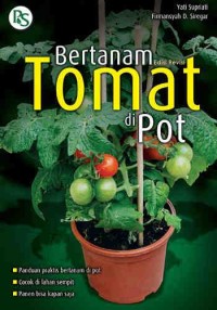 Image of Bertanam Tomat Di pot